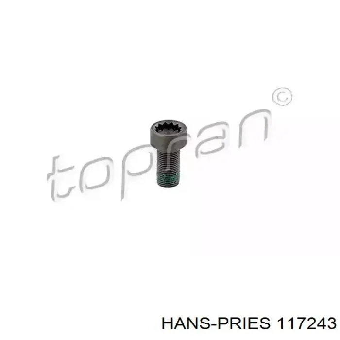 Купити 117243 Hans Pries (Topran) Болт кріплення маховика