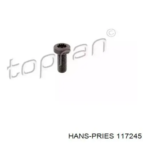 Болт кріплення корзини зчеплення Hans Pries (Topran) 117245 ціна, від 1.69 USD