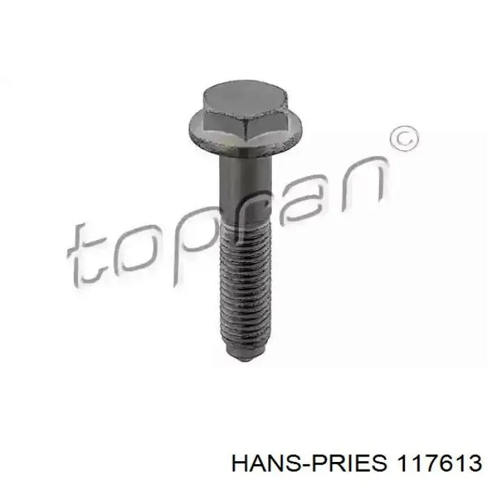 Купити 117613 Hans Pries (Topran) Болт