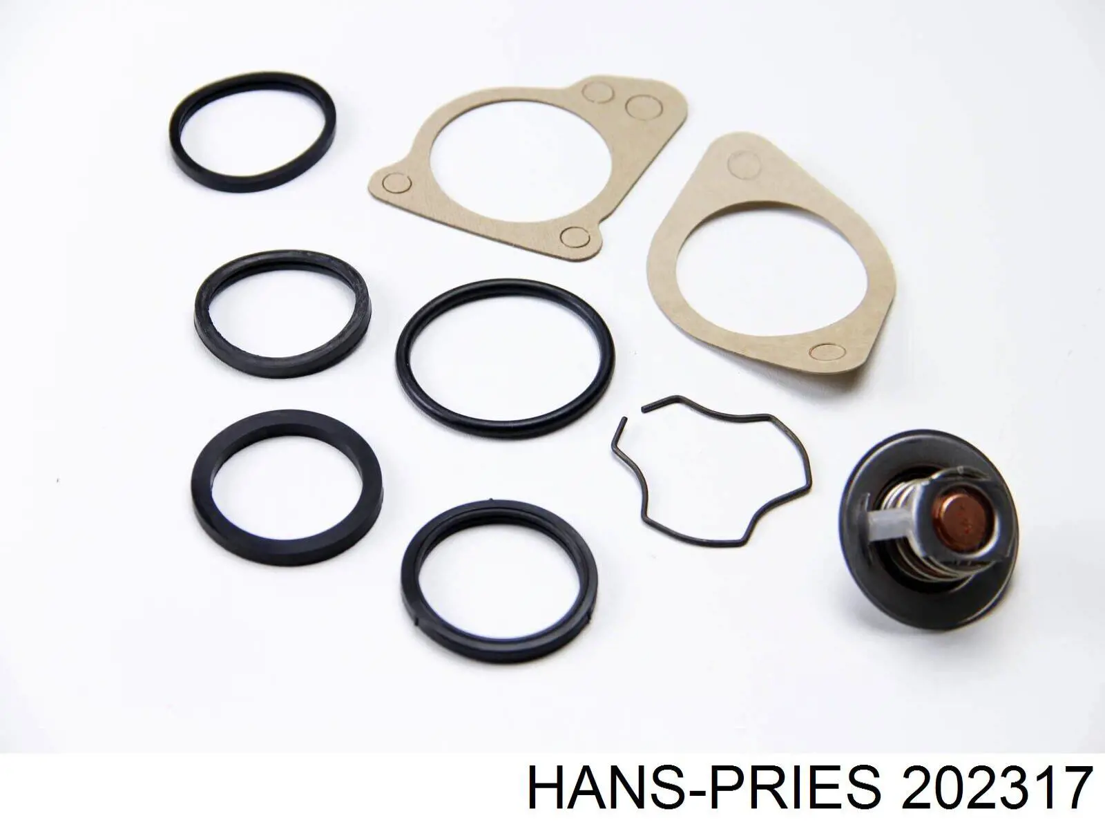 202317 Hans Pries (Topran) Авто термостат
