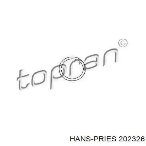 202326 Hans Pries (Topran) прокладка термостата