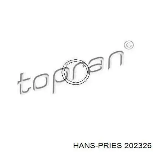 202326 Hans Pries (Topran) Прокладка термостата