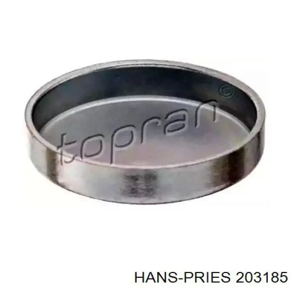 Купити 203185 Hans Pries (Topran) Заглушка блоку циліндрів