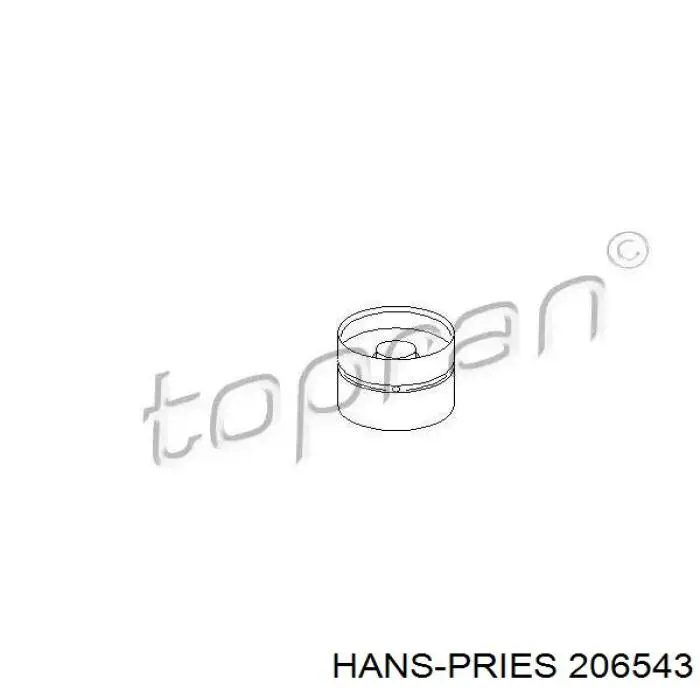 Купити 206543 Hans Pries (Topran) Штовхач клапанів двигуна