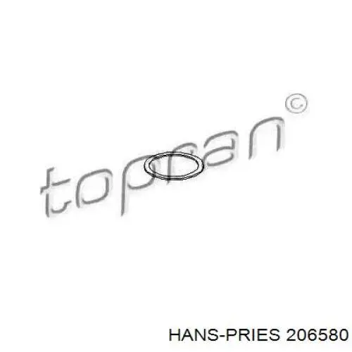 206580 Hans Pries (Topran) кільце форсунки інжектора, посадочне