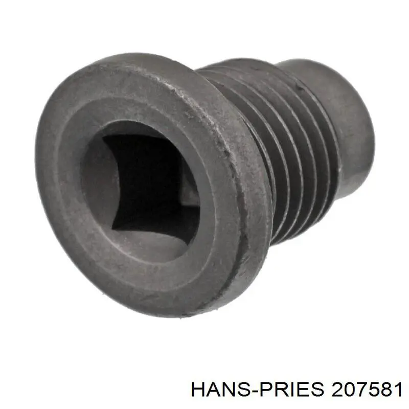 207581 Hans Pries (Topran) пробка піддона двигуна
