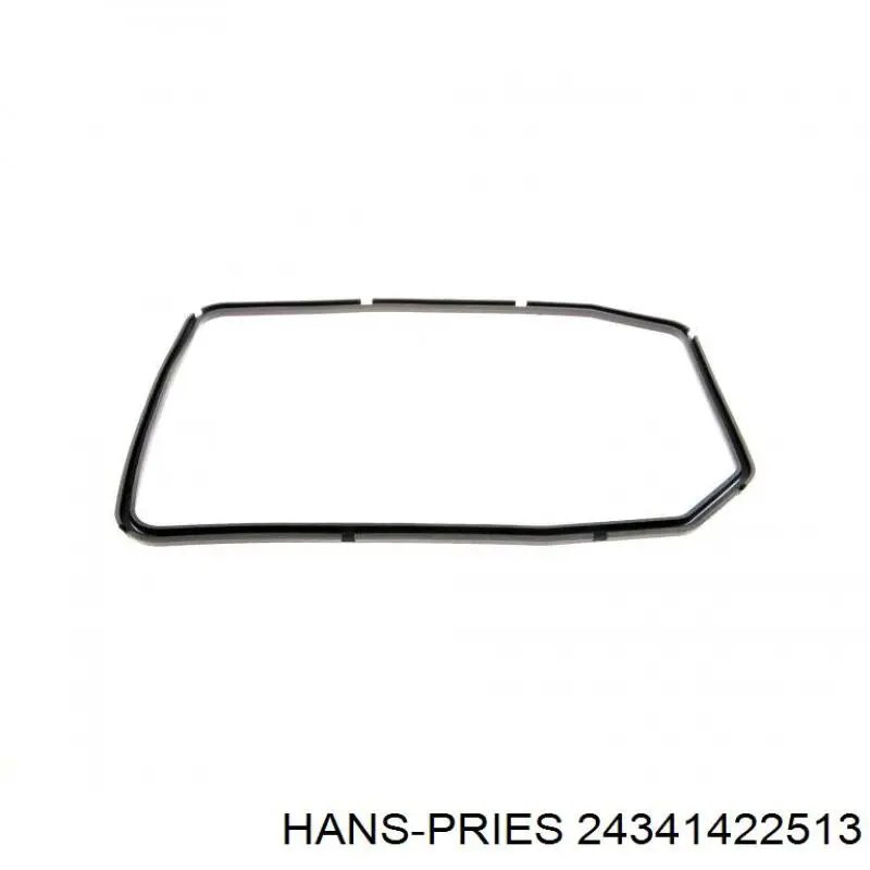 24341422513 Hans Pries (Topran) Масло в коробку автомат