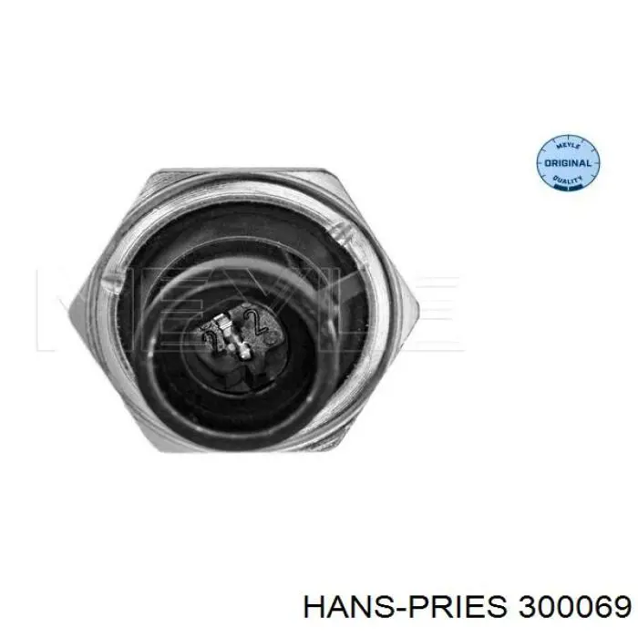 300069 Hans Pries (Topran) Важіль передньої підвіски нижній, правий