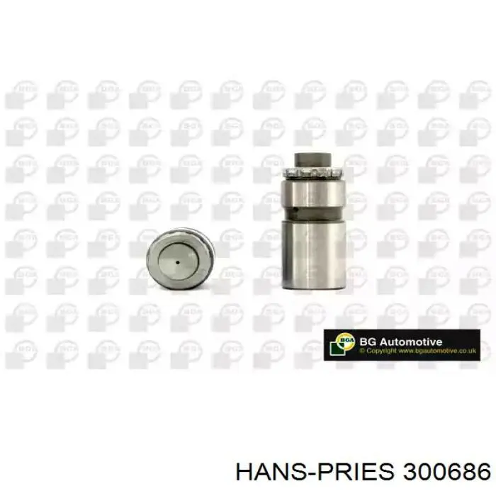 Гідрокомпенсатор 300686 Hans Pries (Topran)