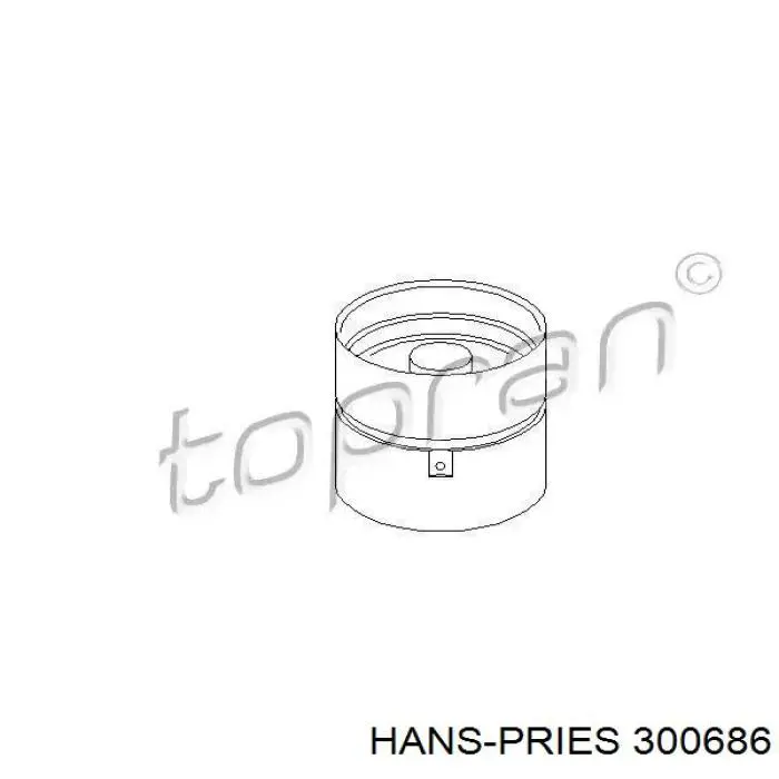 300686 Hans Pries (Topran) гідрокомпенсатор, гідроштовхач, штовхач клапанів