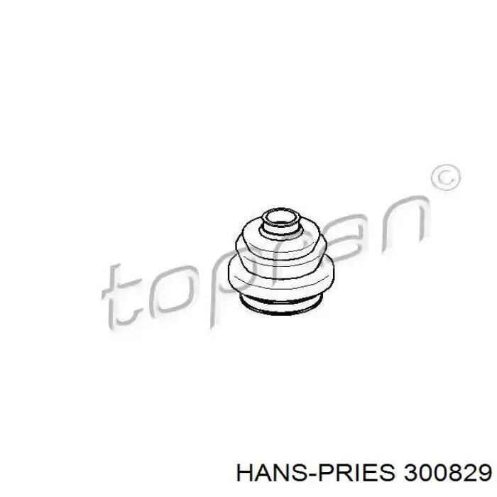 Купити 300829 Hans Pries (Topran) Пильник ШРКШ зовнішній, задньої півосі