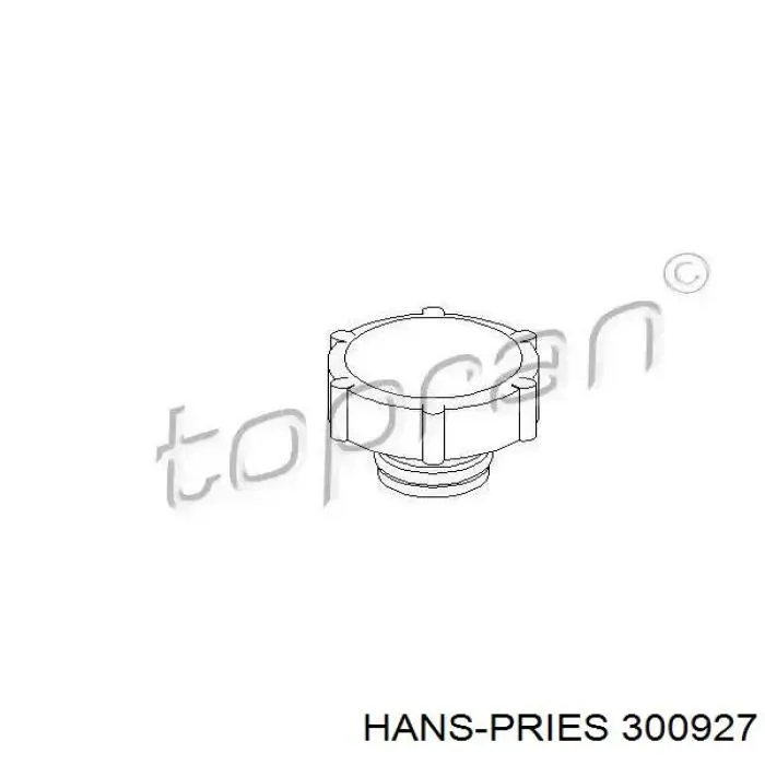 Купити 300927 Hans Pries (Topran) Кришка розширювального бачка