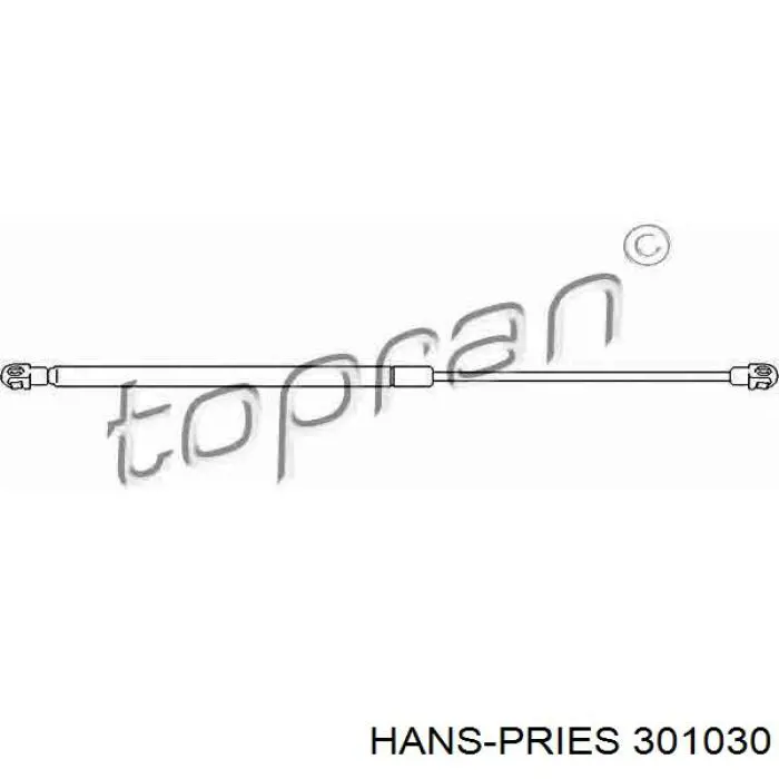 Амортизатор кришки багажника/ двері 3/5-ї задньої 301030 Hans Pries (Topran)