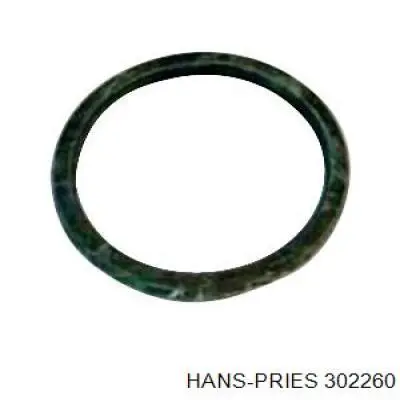 302260 Hans Pries (Topran) прокладка термостата