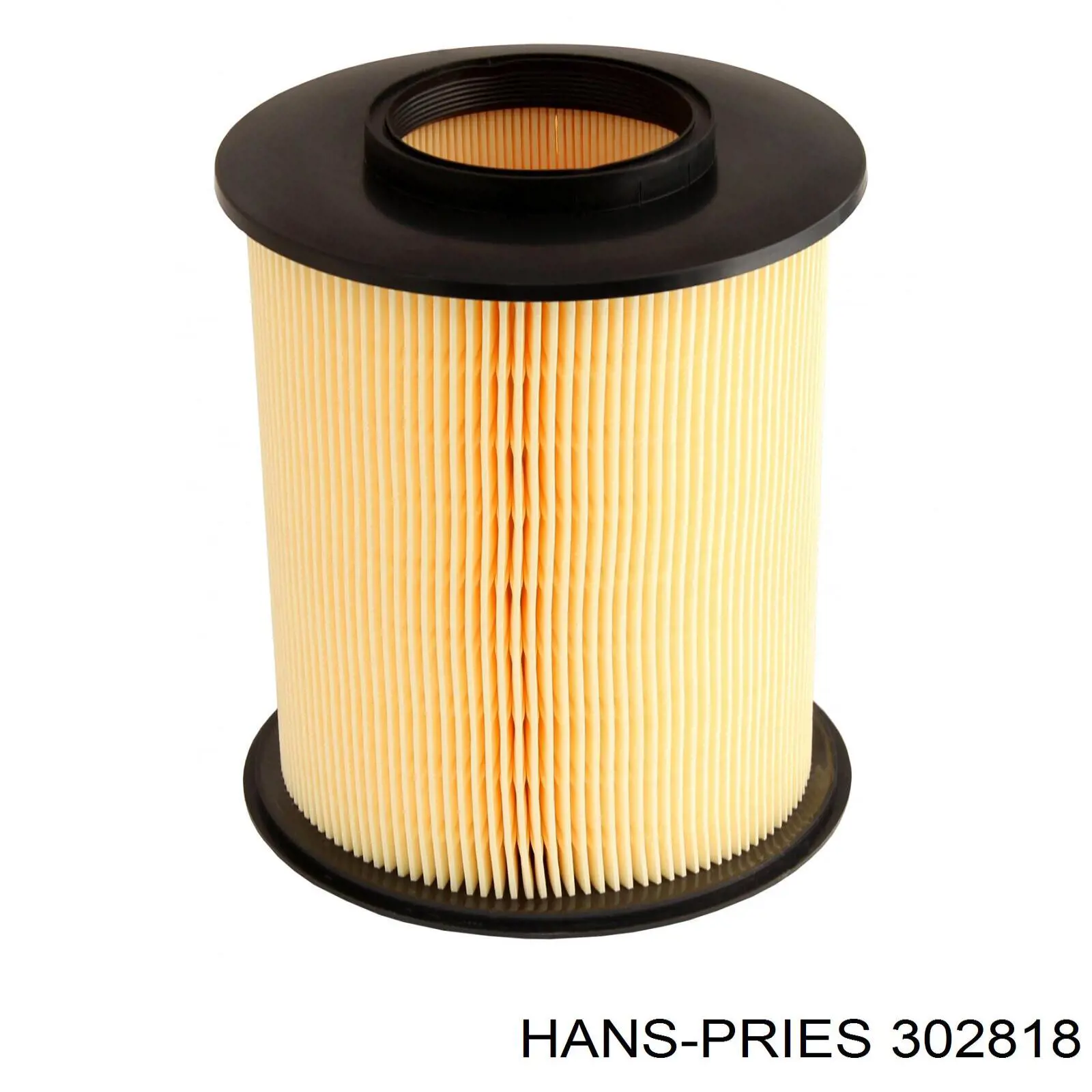 Повітряний фільтр 302818 Hans Pries (Topran)
