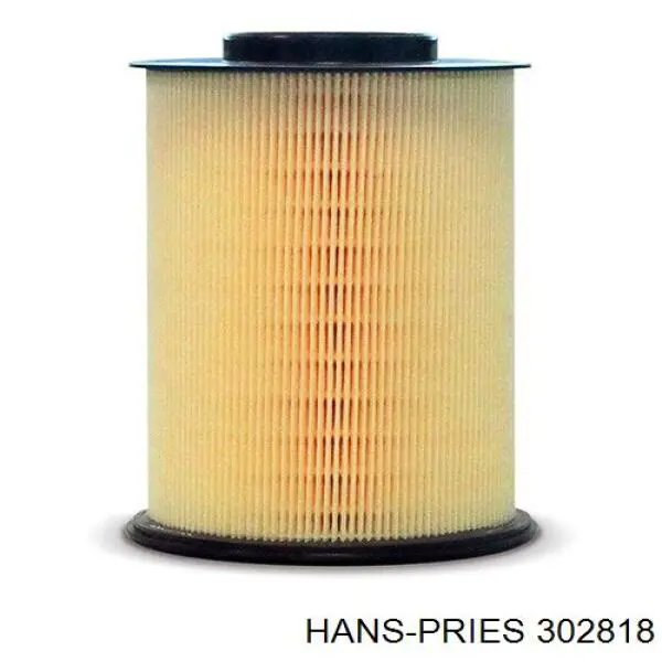 302818 Hans Pries (Topran) Повітряний фільтр двигуна