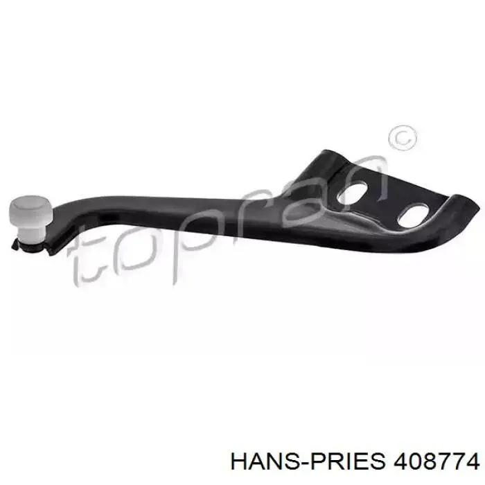 408774 Hans Pries (Topran) Ролик двері бічної/зсувної, правий верхній