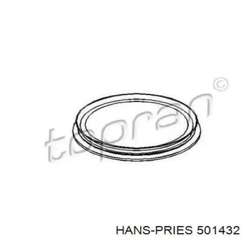 501432 Hans Pries (Topran) Прокладка датчика рівня палива/паливного насоса (палив.бак)