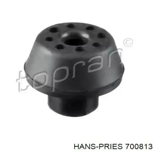 700813 Hans Pries (Topran) Кронштейн/подушка кріплення радіатора, нижній
