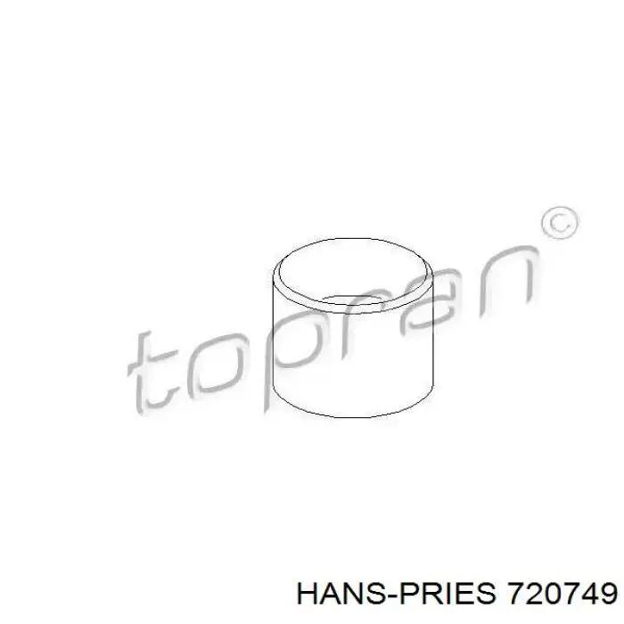 720749 Hans Pries (Topran) Гідрокомпенсатор