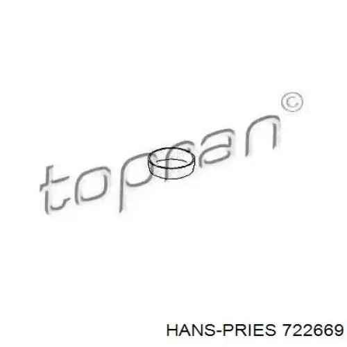 722669 Hans Pries (Topran) заглушка гбц/блоку циліндрів