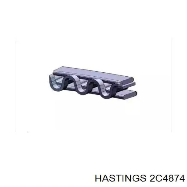  Hastings 2C4874 ціна, від 13.96 USD