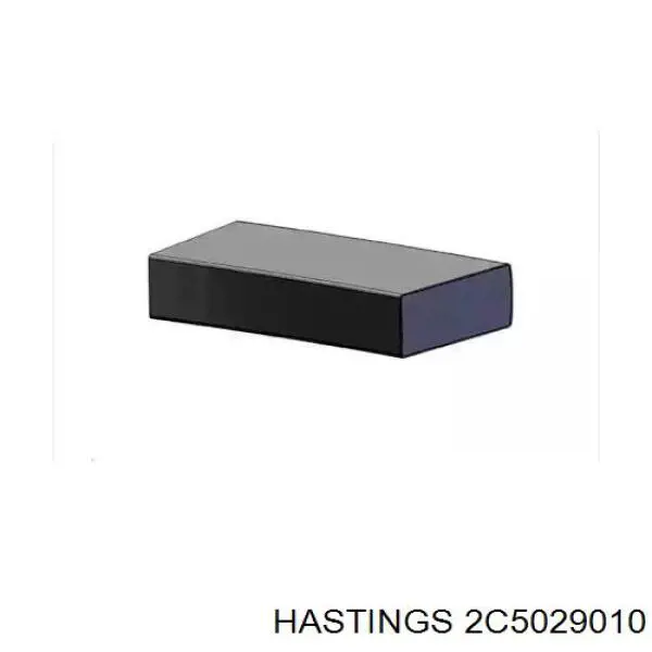 2C5029010 Hastings Кільця поршневі на 1 циліндр, 1-й ремонт (+0,25)