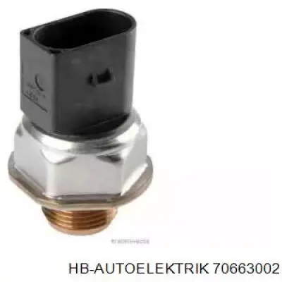 70663002 HB Autoelektrik Манометри