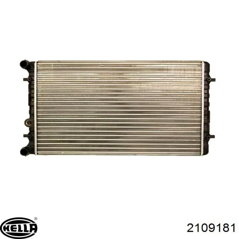 Радіатор охолодження Renault (RVI) 1J0121253N