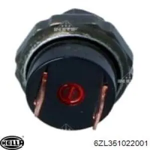 Купити KTT130057 Thermotec Датчик тиску кондиціонера
