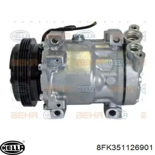 SD7V161148 MSG Rebuilding Компресор холодоагенту