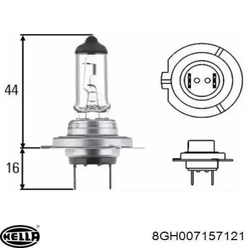 Купити 8GH007157121 HELLA Лампочка галогенна