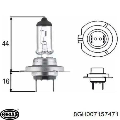Купити 8GH007157471 HELLA Лампочка галогенна