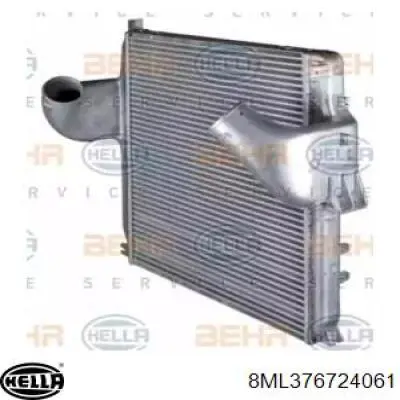Інтеркулер A9425010901 Mercedes