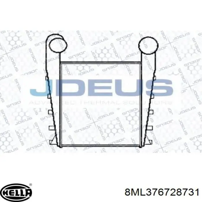 5010619295 Renault (RVI) Охолоджувач наддувочного повітря