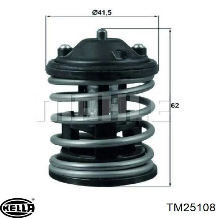 Термостат в зборі BMW 11538636594