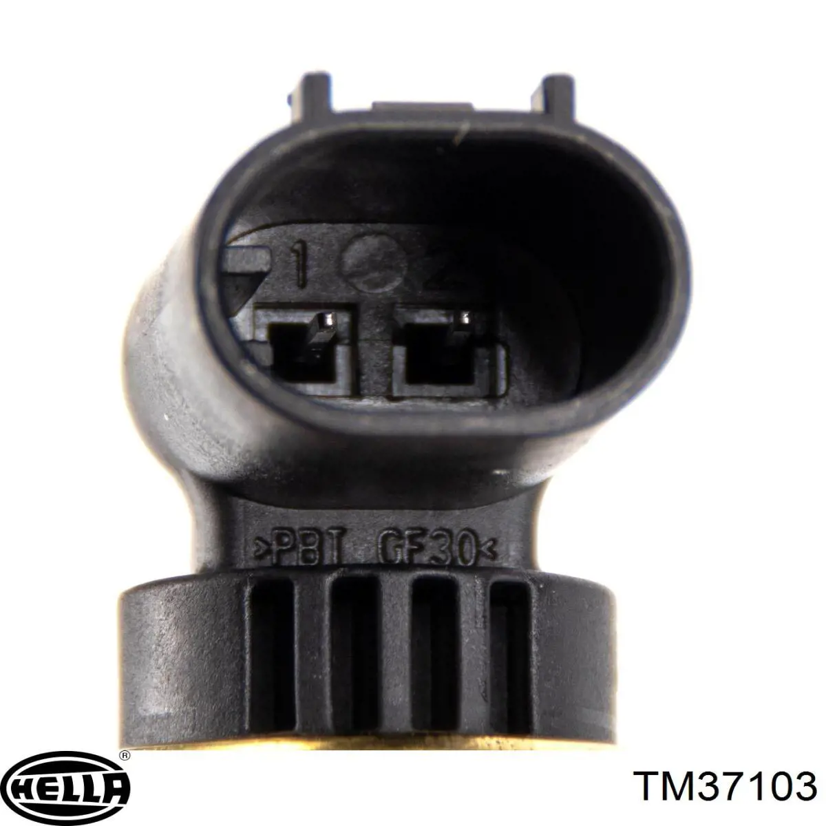 Купити TM1100 Hepu Термостат в корпусі