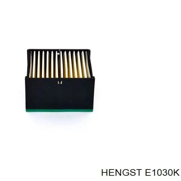 E1030K Hengst фільтр паливний