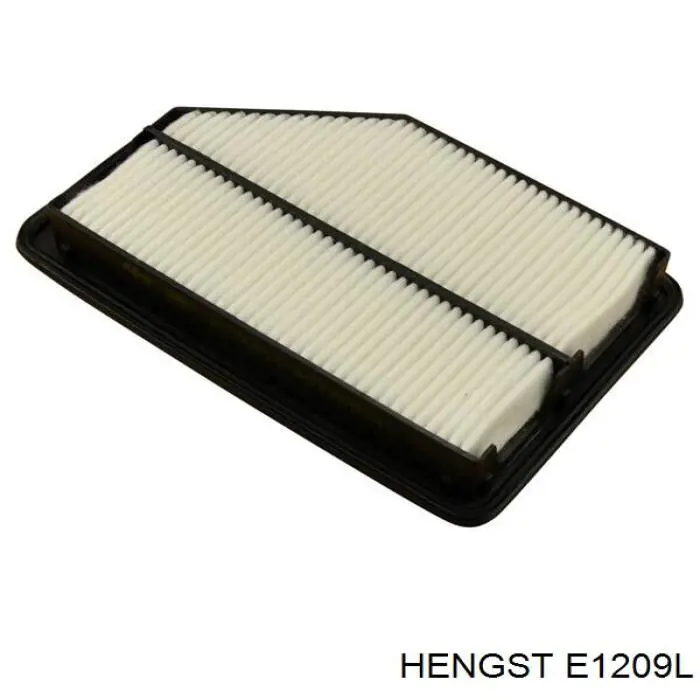Повітряний фільтр E1209L Hengst