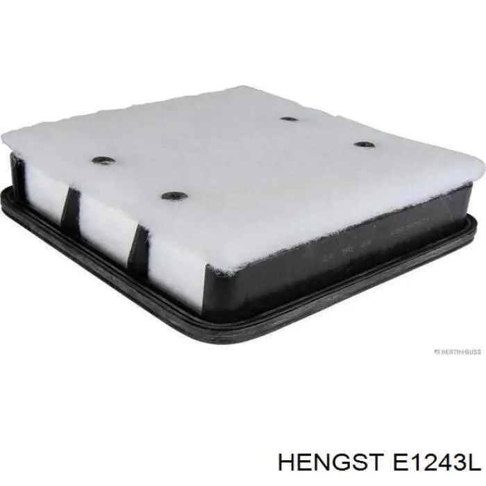 Повітряний фільтр E1243L Hengst