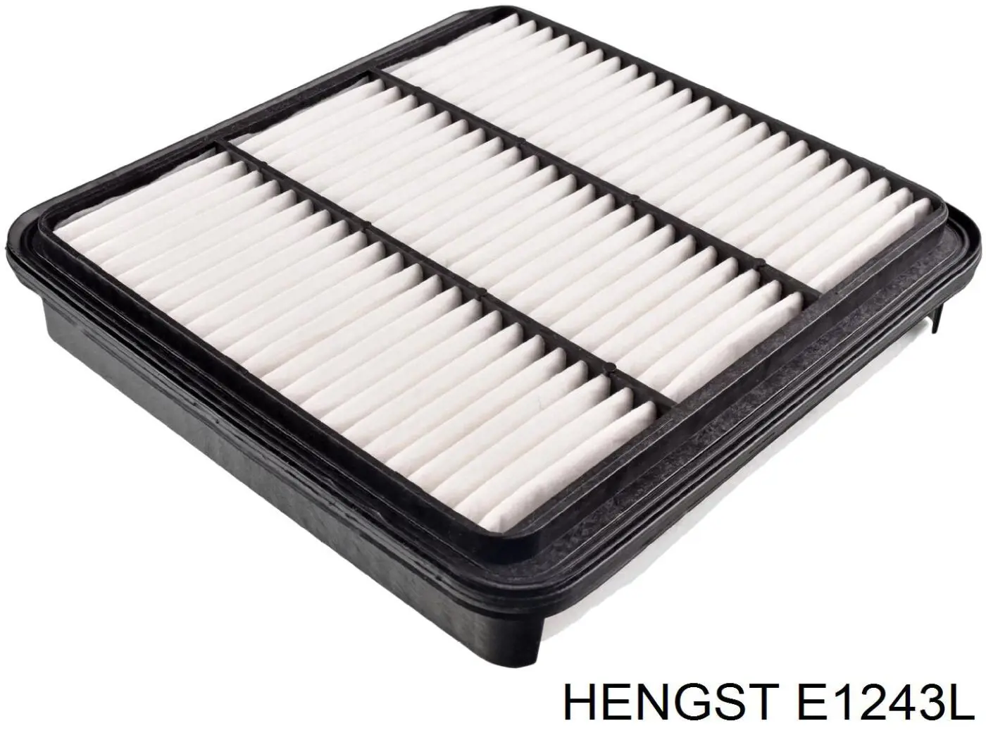 Повітряний фільтр E1243L Hengst