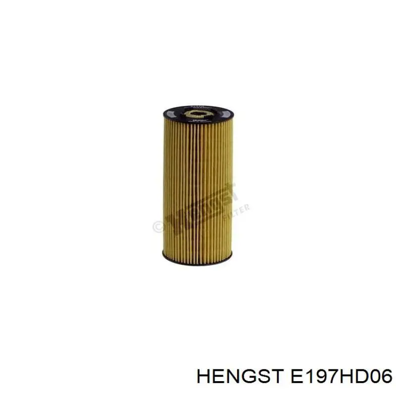 E197HD06 Hengst фільтр масляний