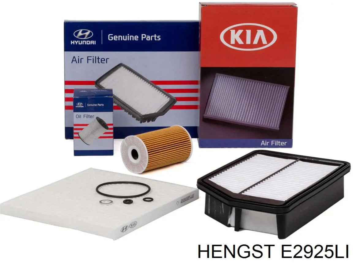 Купити E2925LI Hengst Фільтр салону вугільний
