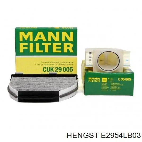 Купити E2954LB03 Hengst Фільтр салону вугільний