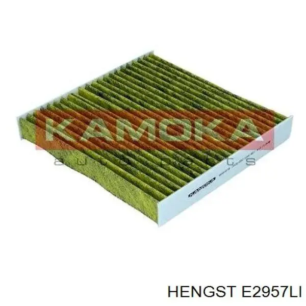 Повітряний фільтр салону Hengst E2957LI