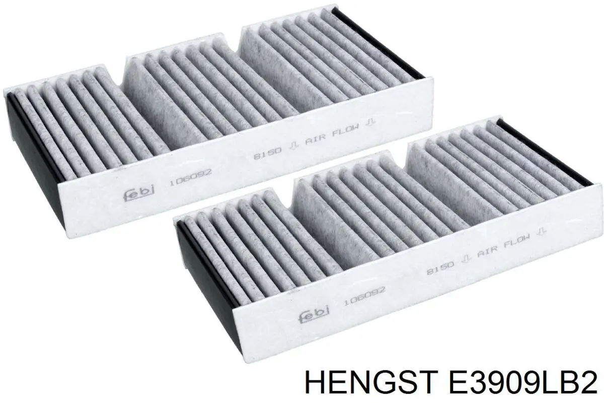 Повітряний фільтр салону Hengst E3909LB2