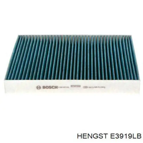 E3919LB Hengst Внутрішньосалонний фільтр
