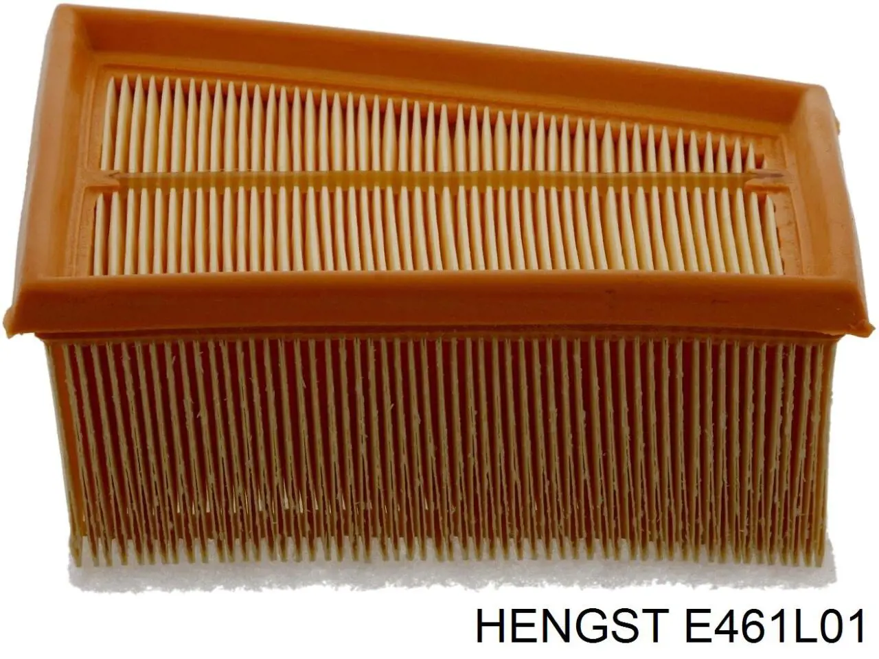 E461L01 Hengst Повітряний фільтр двигуна