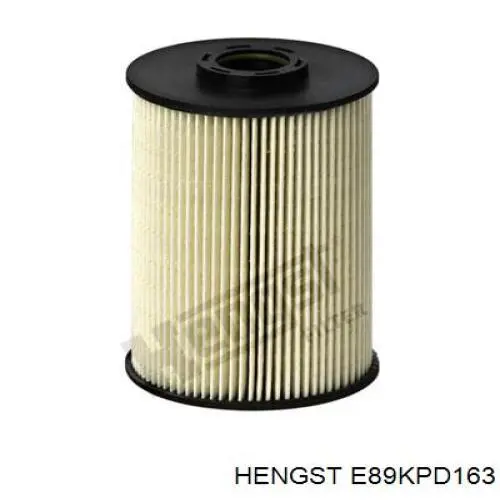 E89KPD163 Hengst фільтр паливний