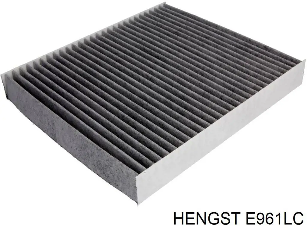 E961LC Hengst фільтр салону